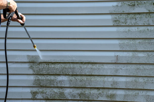 Professional Junk Removal in Sturgis, KY